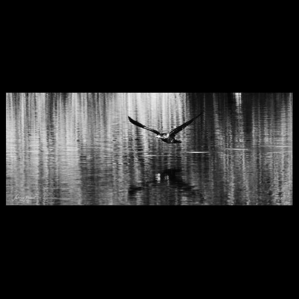 PHOTO84, CLUB, 84 , LUBERON